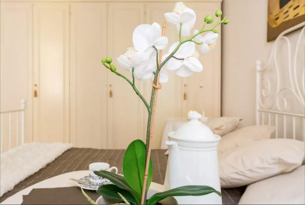 Via Laurina 40 Apartment 로마 외부 사진